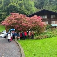 Image - Sortie_Chutes_de_Giessbach.jpg